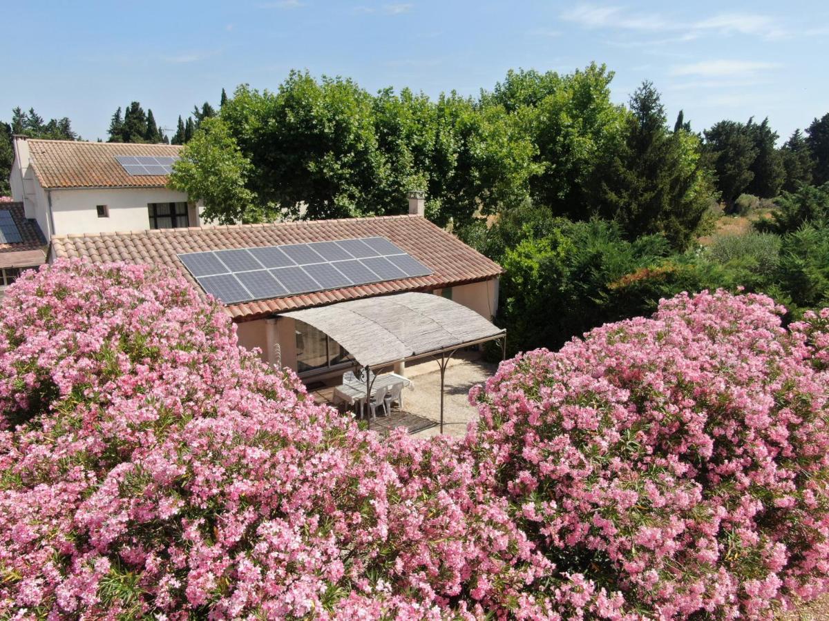 Les Gites Du Mas Canillac Châteaurenard Exterior foto